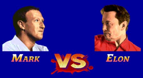 Choose Your Fighter: Elon Musk vs. Mark Zuckerberg