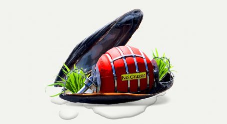 Can Two Mussels Bring Down Texas’ Deadly Anti-Migrant Buoys?