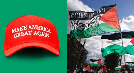 The Far Right Has a New Big Lie: Claiming to Support Palestine