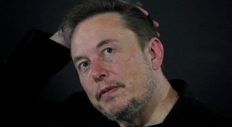 Don’t Call Elon Musk a “Green” Billionaire