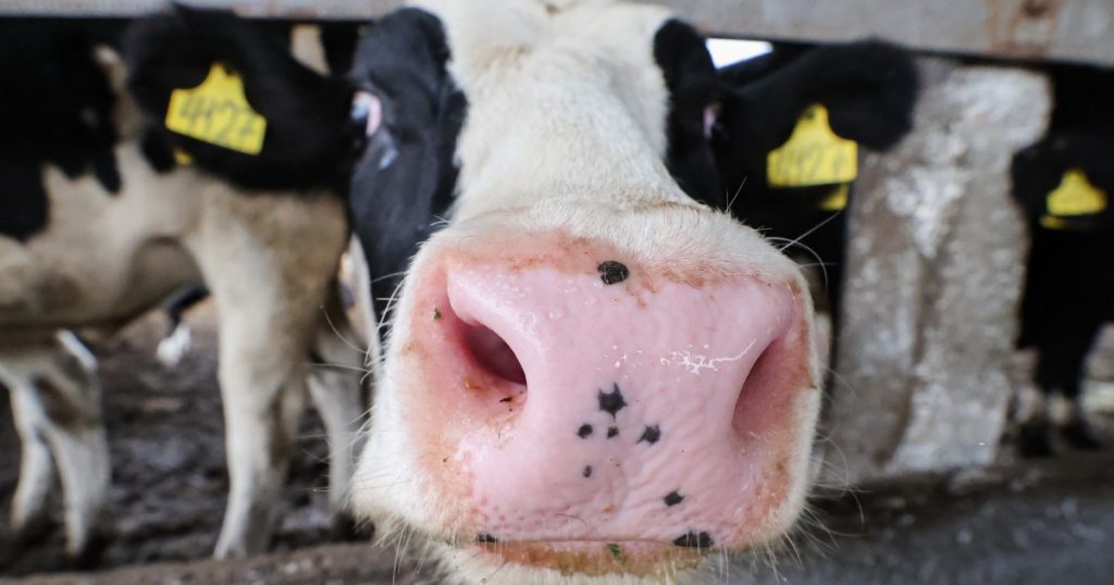 new-year,-same-congress:-politicians-block-livestock-emission-reporting-rules