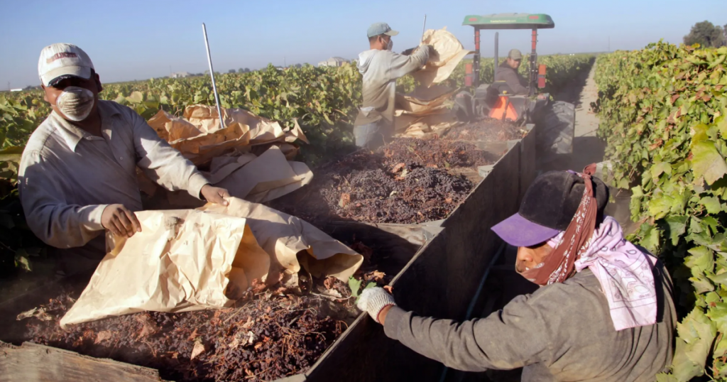 excessive-heat-and-air-pollution-are-putting-farmworkers’-lives-at-risk