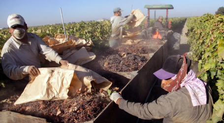 Excessive Heat and Air Pollution Are Putting Farmworkers’ Lives at Risk
