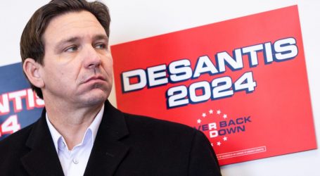 Don’t Blame a Puzzle for the Demise of Ron DeSantis’ Campaign