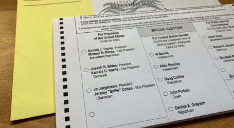 Georgia GOP senators take new step to eliminate use of QR codes on paper ballots