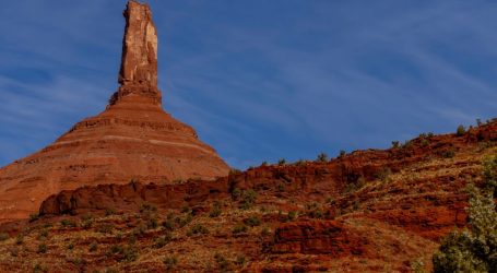 Utah Supports “Personhood” for Corporations, but Maybe Not Forests