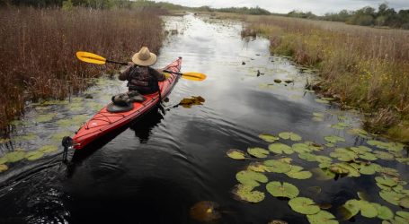 Opponents of strip mining near Okefenokee Swamp wade into new campaign to pass protection bill