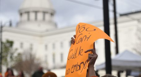 Georgia Democrats push for state laws protecting reproductive rights following Alabama court ruling