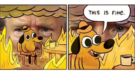 Trump’s Back on Top. This Is Not Fine.