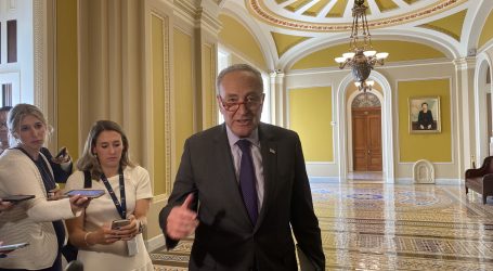 Schumer levels heavy criticism at Israel on U.S. Senate floor, calls for elections there