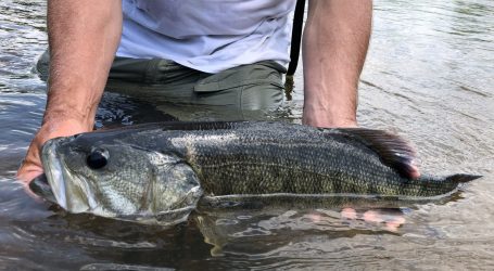 Anglers and paddlers closely watch bill intended to make some streambeds off limits in Georgia 