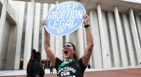 Florida Supreme Court Approves a Six-Week Ban—And Lets an Abortion Rights Ballot Measure Move Forward