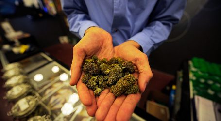 U.S. Senate Dems launch renewed push for full marijuana legalization