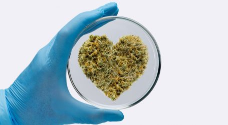 Scientists Rejoice! Studying Cannabis Is About to Get a Lot Easier