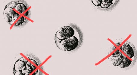 North Carolina’s GOP Opposes Embryo Destruction. That Could Threaten IVF.