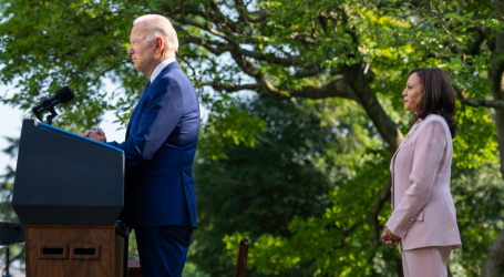 Joe Biden or Kamala Harris: Which Risk Is the Better Risk?
