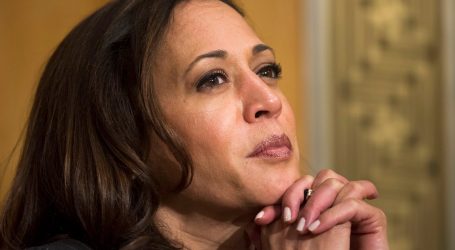 Far-Right Trolls Have Launched a Racist Crusade Against Kamala Harris