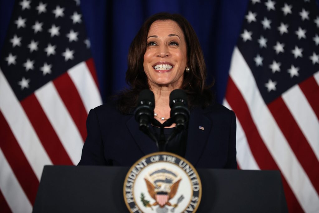 georgia-delegates-to-democrats’-convention-coalesce-behind-harris-after-biden-drops-out