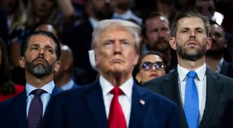 Trump’s Sons Keep Falsely Blaming Democrats for the Assassination Attempt