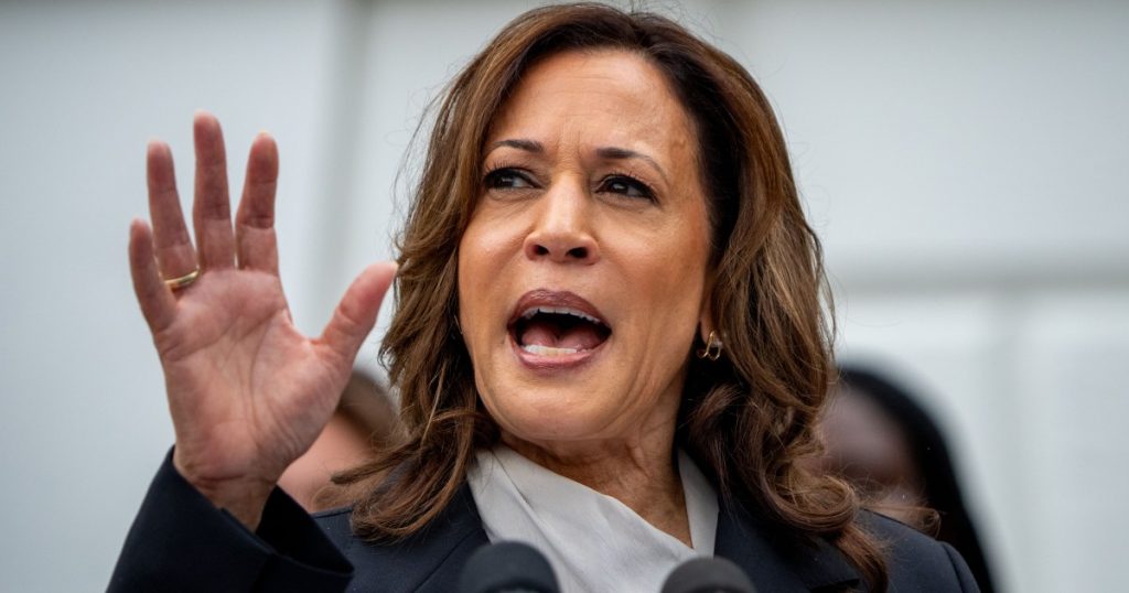 what-would-it-mean-to-have-a-prosecutor-as-president-right-now?