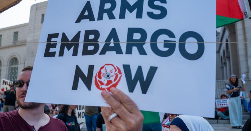 some-harris-delegates-are-signing-onto-a-push-for-an-arms-embargo