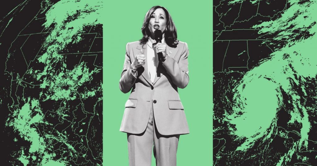 kamala-harris-barely-mentioned-climate-at-the-dnc.-does-it-matter?