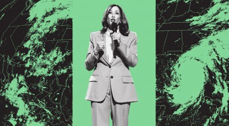 Kamala Harris Barely Mentioned Climate at the DNC. Does It Matter?