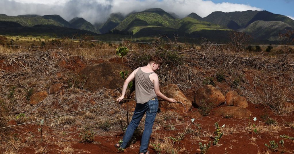 how-last-year’s-wildfires-reignited-a-battle-over-water-rights-on-maui